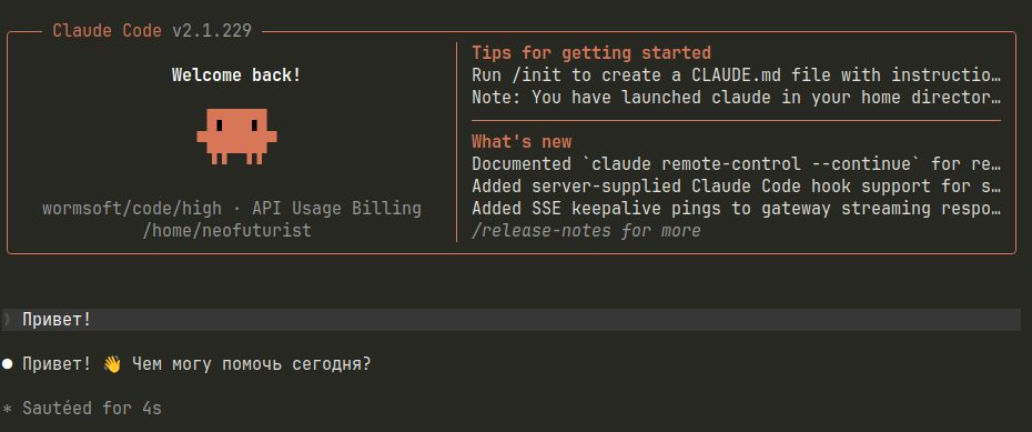Тестовый запуск Claude Code